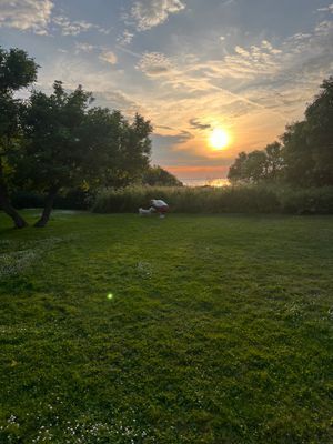 Solnedgång i midsommartid