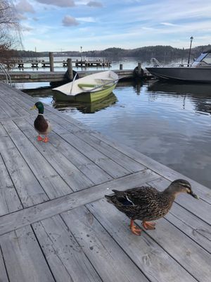 Modern sjöstuga-sjöutsikt, nära Stockholm