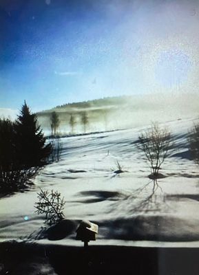 Vinterdis från köksfönstret