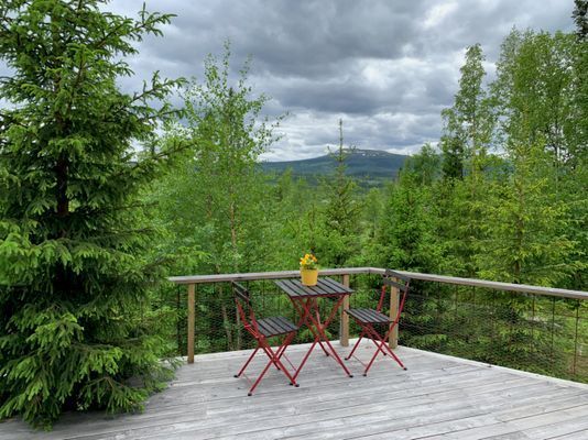 Mysig lägenhet i Undersåker nära Åre - Bild 16