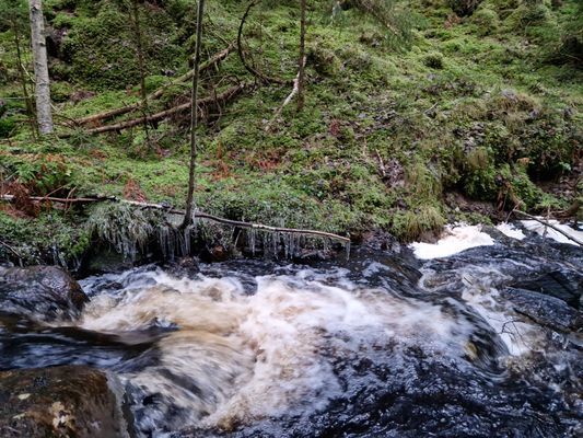 Nackeloftet - en mysig timmerstuga i Dalsland - Bild 27