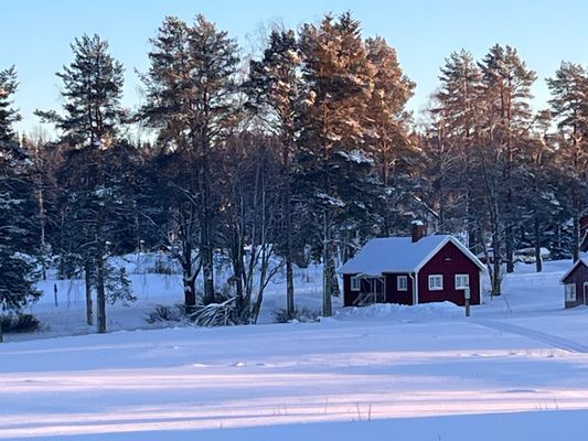 Fyrås Gård Tallstugan