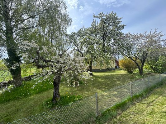 Charmigt sommarhus på Öland – barn- och hundvänlig - Bild 8