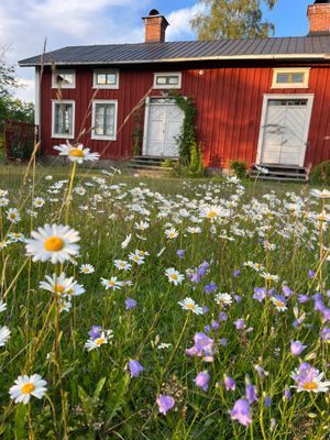 Stuga/övernattning/boende på lantgård