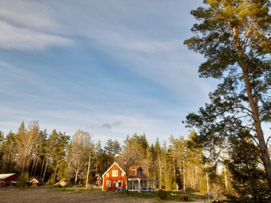 Stuga med härligt läge omgärdad av skog nära badsj
