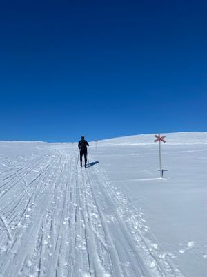 Turåkning på fjället