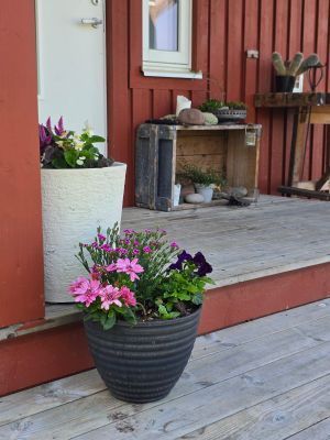 Havsnära hus i Gräddö - Bild 22