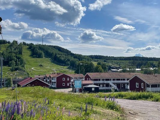 Kungsberget, Järbo - Bild 28