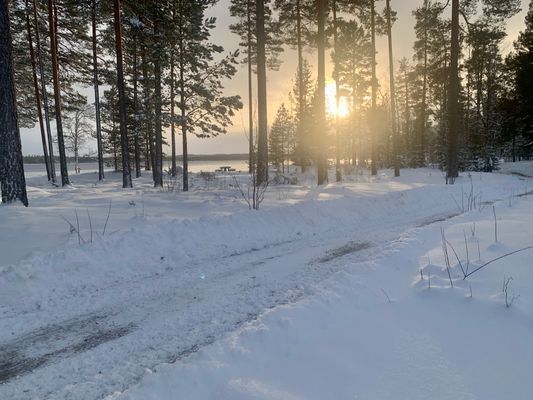 Modernt timmerhus vid sjö - Bild 19