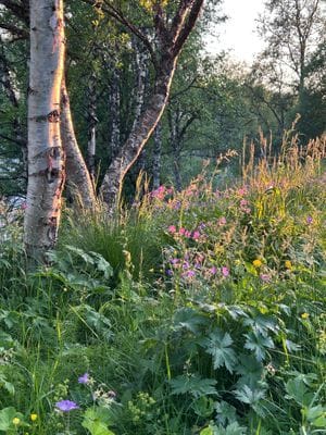 Nybyggd lägenhet i Hamra, Tänndalen - Bild 22