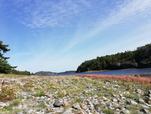 Härlig havsutsikt över fjorden - Bild 23