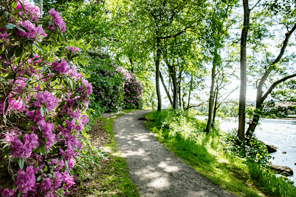 Parhus nära Vallarna i Falkenberg - Bild 38