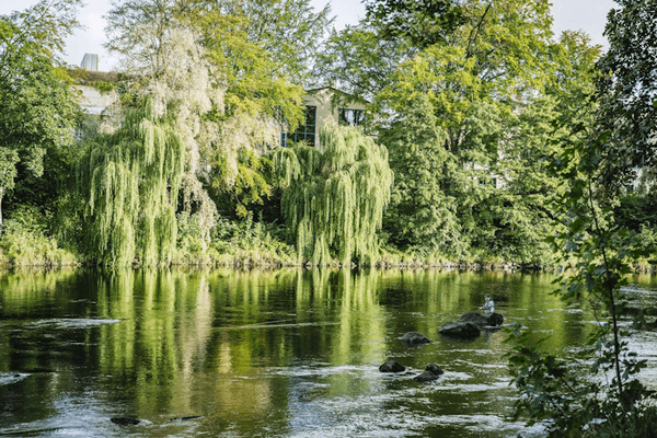 Parhus nära Vallarna i Falkenberg - Bild 40