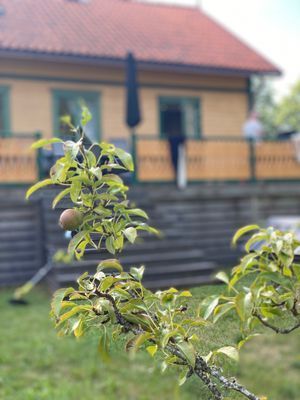 Hyr denna stuga i  på 145 m². 7-9 sängplatser. 14 000 - 25 200 kr per vecka. Se bilder och tillgänglighet här.