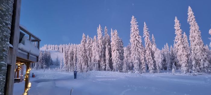 Lodge i Lindvallen med ski in/ski out