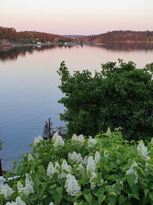 Skärgårdshus på Dalarö, sjötomt med bästa läge - Bild 41