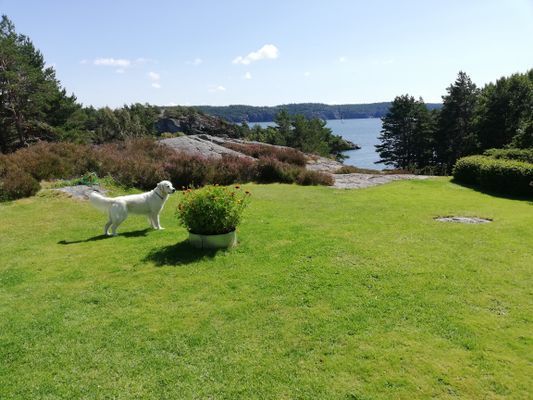 Härlig havsutsikt över fjorden - Bild 19