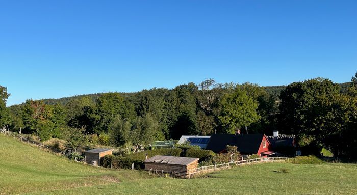 Stuga med bastu och privat å-tomt på Österlen - Bild 27