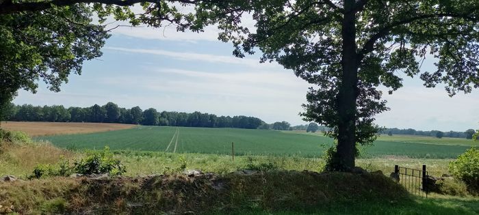 Mysig stuga i Ekenäs 3,5 mil söder om Kalmar - Bild 16