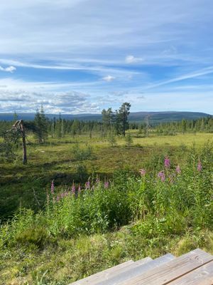 Näsfjället, Sälenfjällen - Bild 12