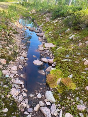 Näsfjället, Sälenfjällen - Bild 13