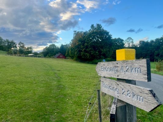 Stuga med bastu och privat å-tomt på Österlen - Bild 28