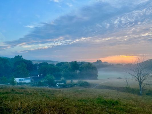 Stuga med bastu och privat å-tomt på Österlen - Bild 29