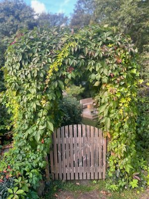 Stuga med bastu och privat å-tomt på Österlen - Bild 20