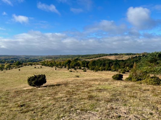 Stuga med bastu och privat å-tomt på Österlen - Bild 32