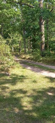 Mysig stuga i Ekenäs 3,5 mil söder om Kalmar - Bild 17