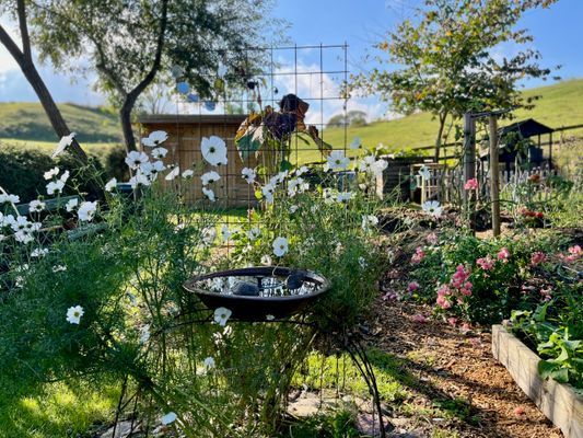 Stuga med bastu och privat å-tomt på Österlen - Bild 23