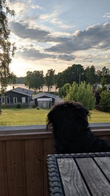 Sverigesemester vid Bolmen | 250 m till sjön
