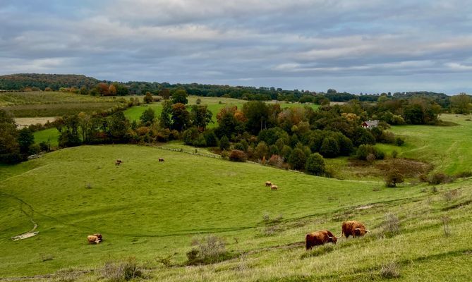 Stuga med bastu och privat å-tomt på Österlen - Bild 31