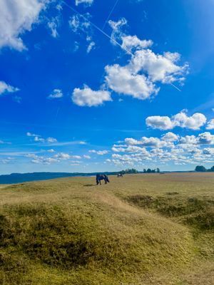 Stuga med bastu och privat å-tomt på Österlen - Bild 33