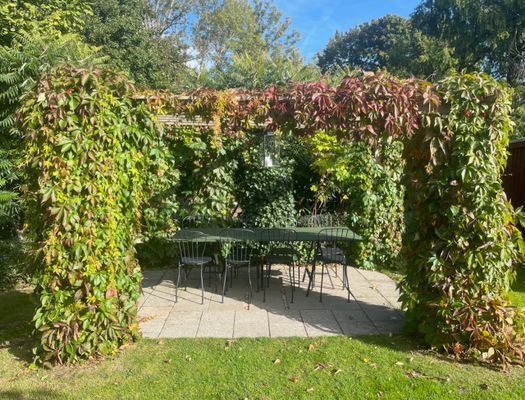 Stuga med bastu och privat å-tomt på Österlen - Bild 18