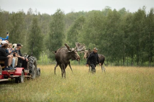 Sjönära fritidshus i lugna omgivningar - Bild 25