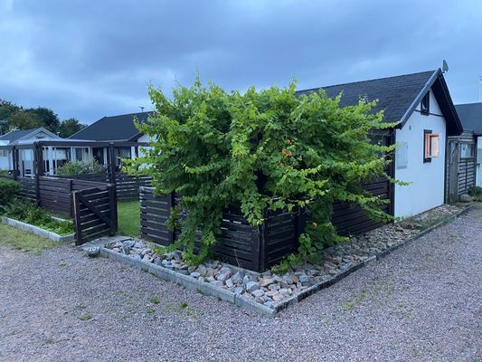 Stuga i Tylösand - Bild 6