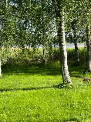 Bild 3 på Sjönära fritidshus i lugna omgivningar