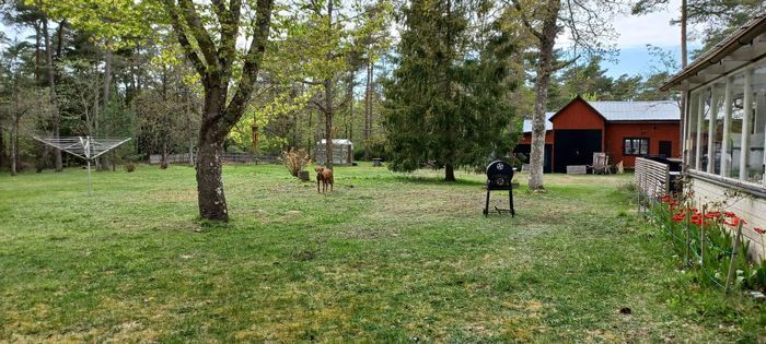 Stor trädgård, för både två och fyrbenta i alla åldrar