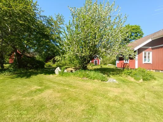 Hyr denna stuga i Tived på 100 m². 9-11 sängplatser. 5 096 - 13 000 kr per vecka. Se bilder och tillgänglighet här.