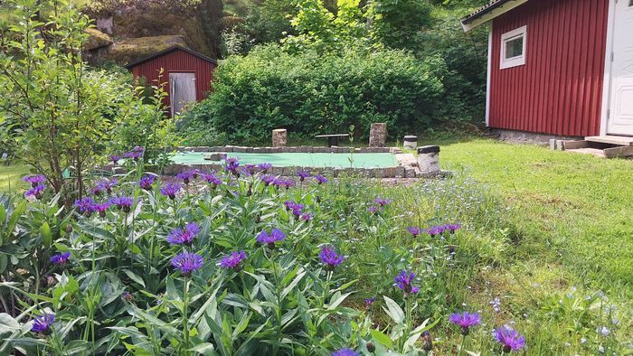 Charmiga Golftorpet i Mjölby | SE10021 - Bild 19