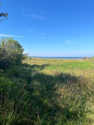 Välkommen till lägenhet C! - Bild 25