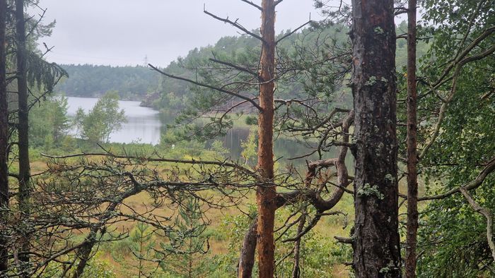 Kombinera Stockholm och njut av naturen - Bild 14