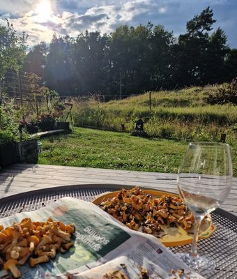 Kombinera Stockholm och njut av naturen - Bild 8