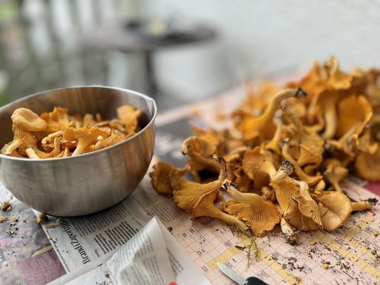 Charmig lantlig stuga med air condition. - Bild 23