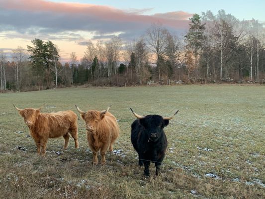 Charmig lantlig stuga med air condition. - Bild 18