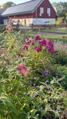 Charmig lantlig stuga med air condition. - Bild 20