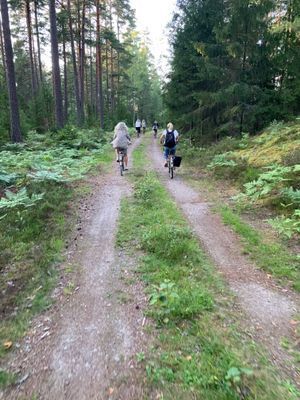 Charmig lantlig stuga med air condition. - Bild 30