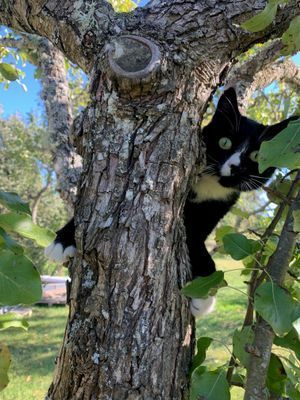 Charmig lantlig stuga med air condition. - Bild 28