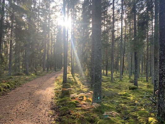 Charmig lantlig stuga med air condition. - Bild 31